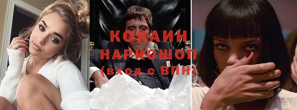 крисы Няндома