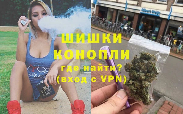 крисы Няндома