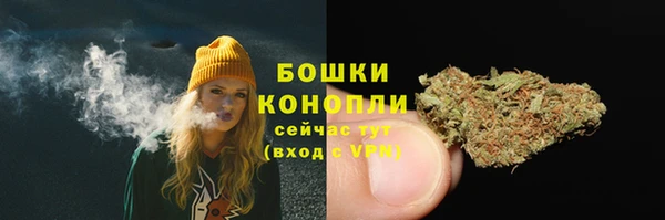 ГАЛЛЮЦИНОГЕННЫЕ ГРИБЫ Новокубанск
