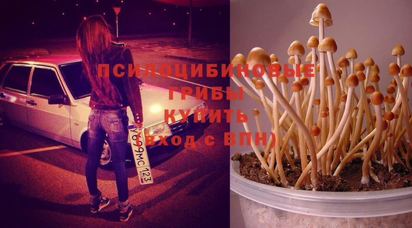 ГАЛЛЮЦИНОГЕННЫЕ ГРИБЫ Новокубанск