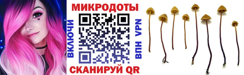 Псилоцибиновые грибы ЛСД  наркота  blacksprut ссылки  Боровичи 