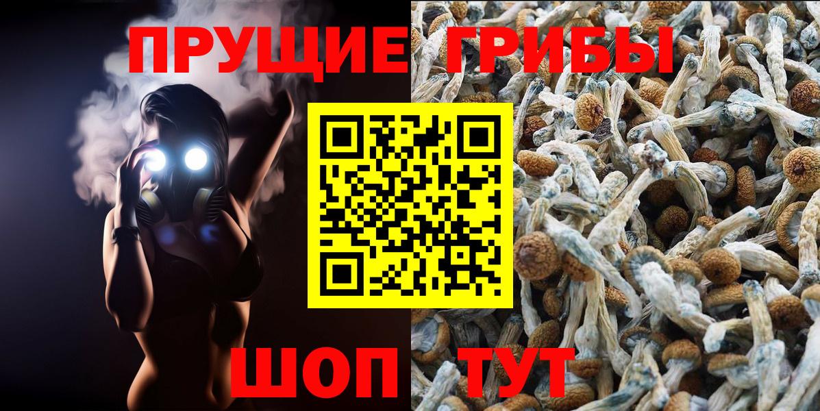 Боровичи  ГАШ  NBOMe  Где найти наркотики?  Alpha-PVP СОЛЬ   МЕФ кристаллы  Бошки Шишки  COCAIN 