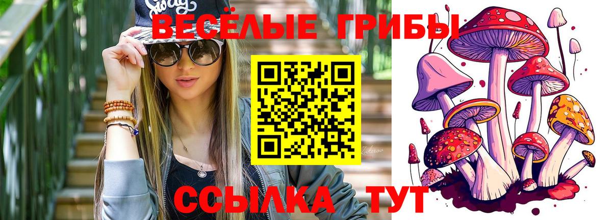 Боровичи  Псилоцибиновые грибы мицелий  Вход с VPN 