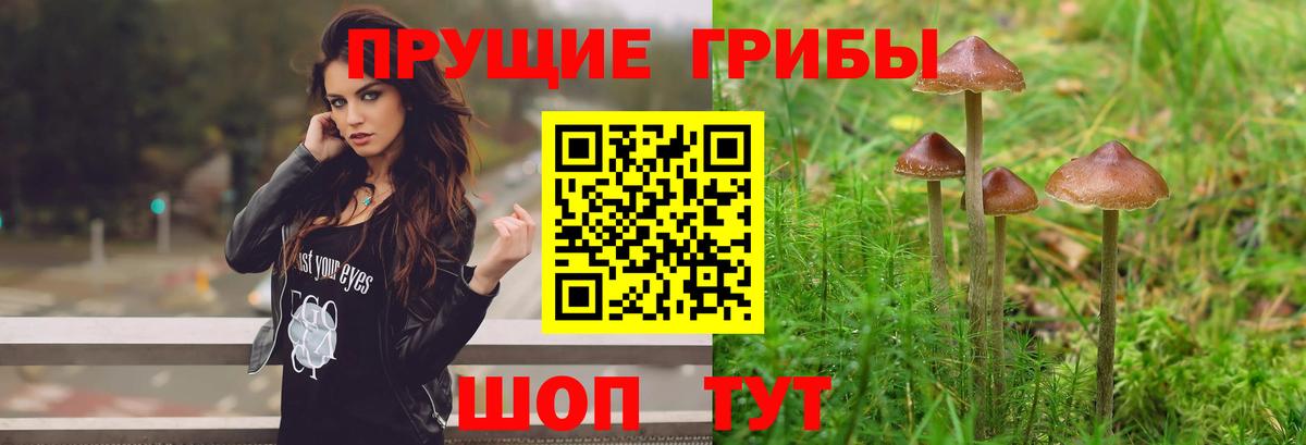 Псилоцибиновые грибы ЛСД  Боровичи 