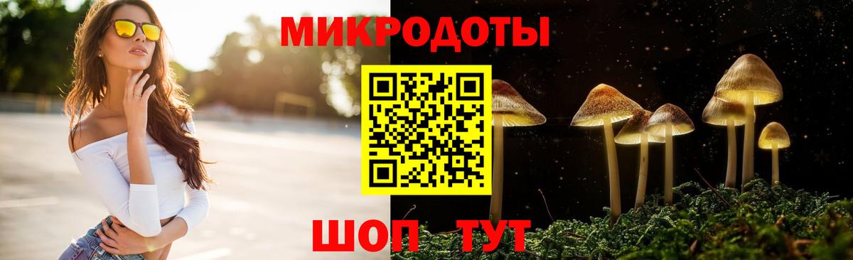 Псилоцибиновые грибы прущие грибы Боровичи